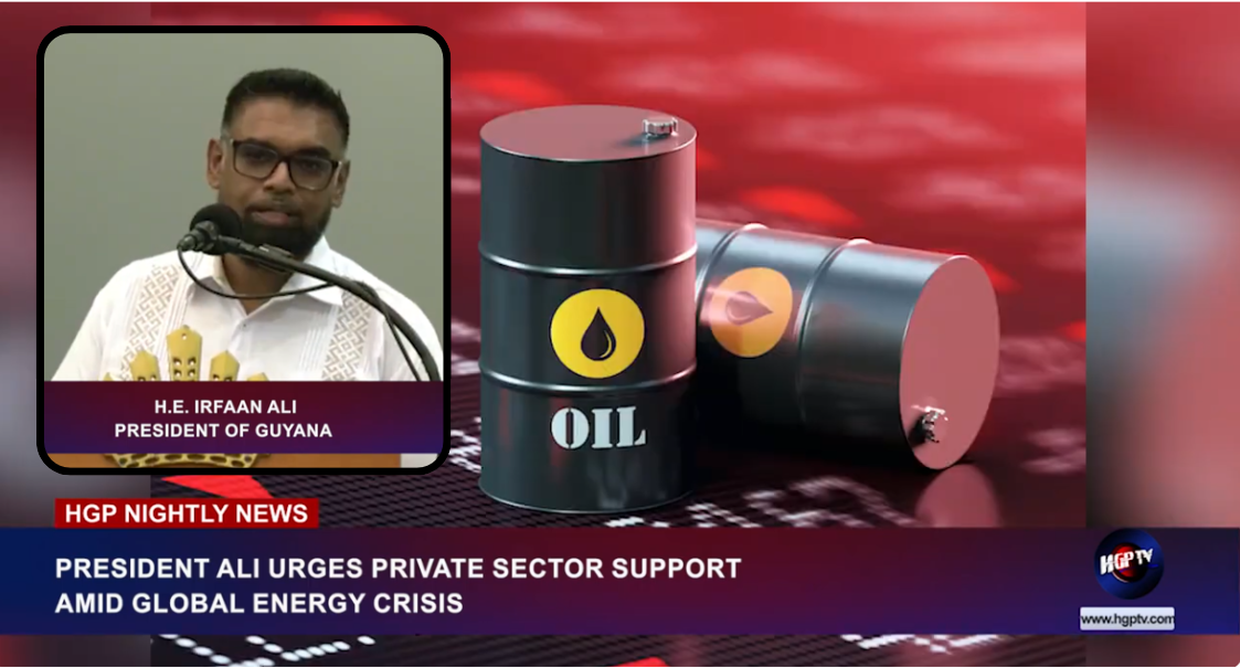 PRESIDENT ALI URGES PRIVATE SECTOR SUPPORT AMID GLOBAL ENERGY CRISIS