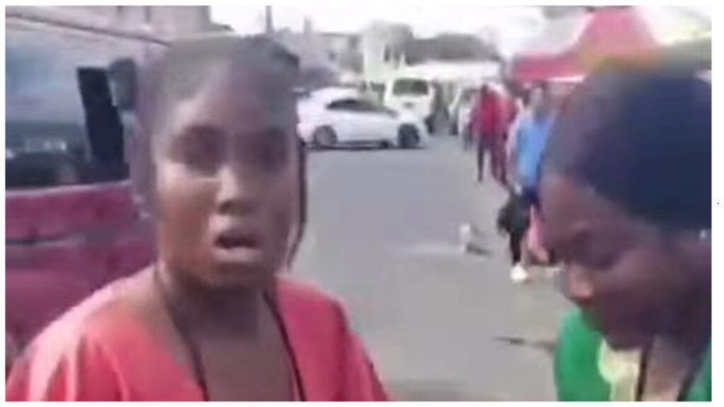 TWO CHILD PROTECTION OFFICERS SUSPENDED AFTER VIDEO SHOWS SCHOOLGIRL BEING DRAGGED