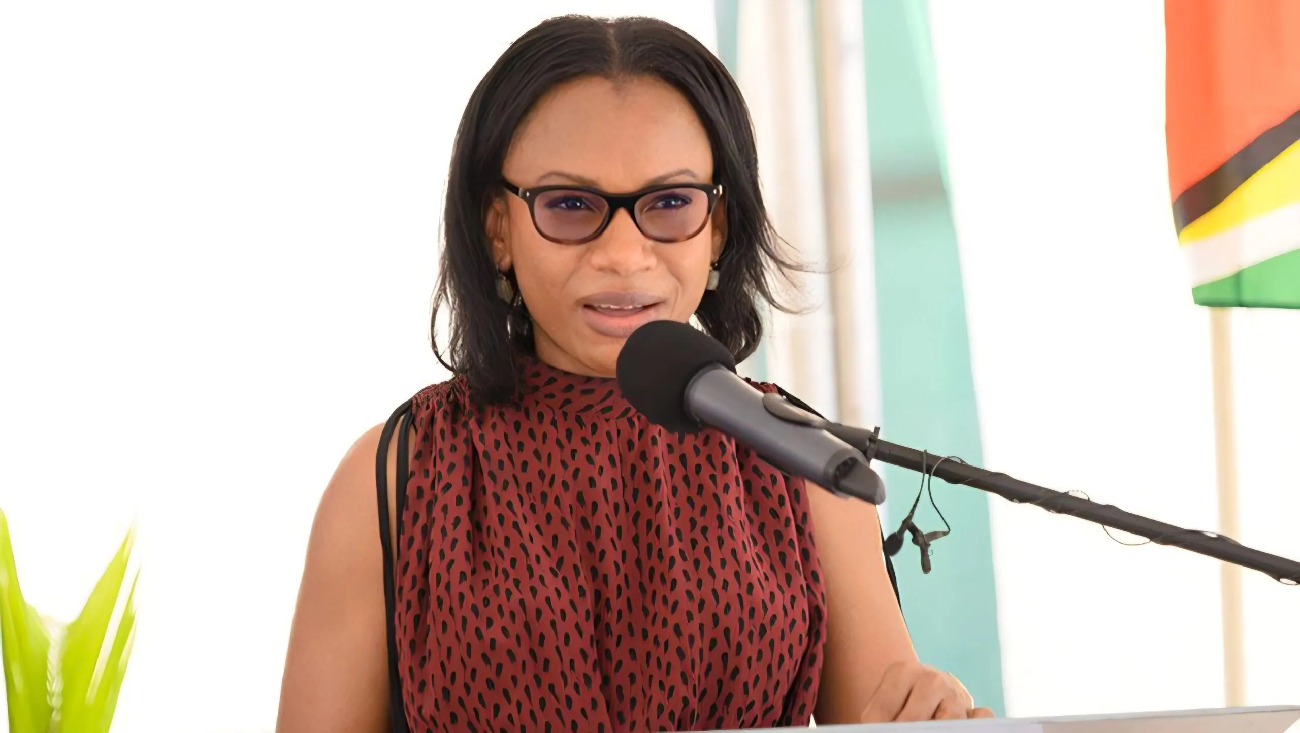 HOME AFFAIRS MINISTER FLAGS GROWING CRISIS AS YOUNG LIVES ARE CAUGHT IN CRIME