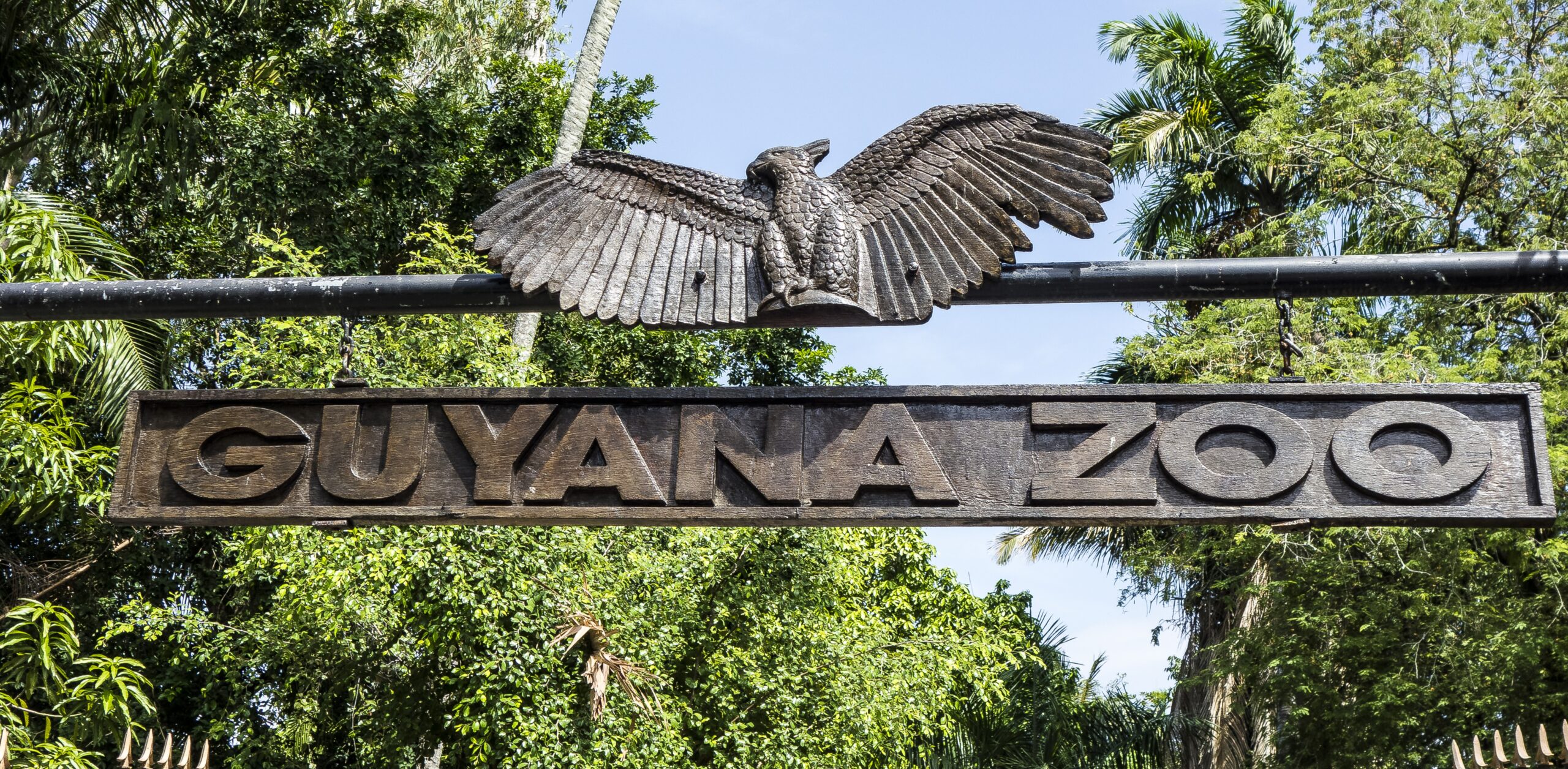 GEORGETOWN ZOO, BOTANICAL GARDENS SET FOR MAJOR UPGRADE, PRESIDENT SAYS